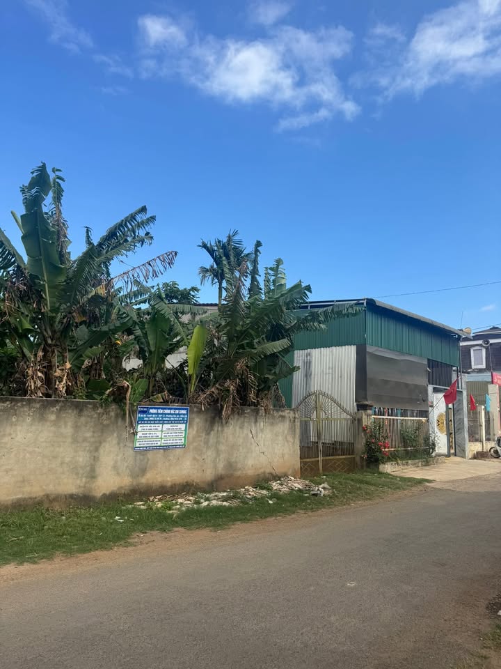 Mặt Tiền Kinh Doanh Đường D1, BMT - 408m² Thổ Cư, Giá 3.9 Tỷ/m Ngang