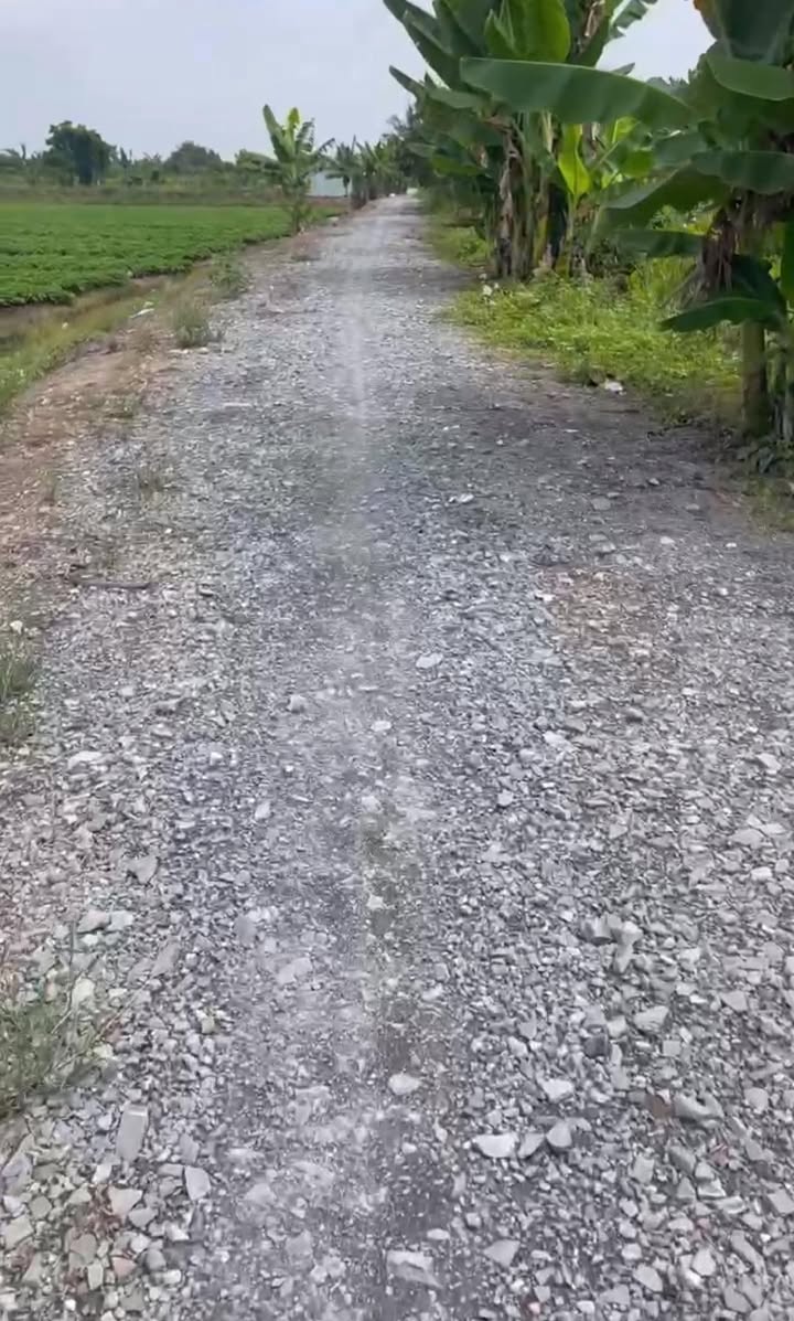 Bán 10 công đất ruộng Tân Phú Đông, Sa Đéc - View sông đẹp, giá 23.5 tỷ