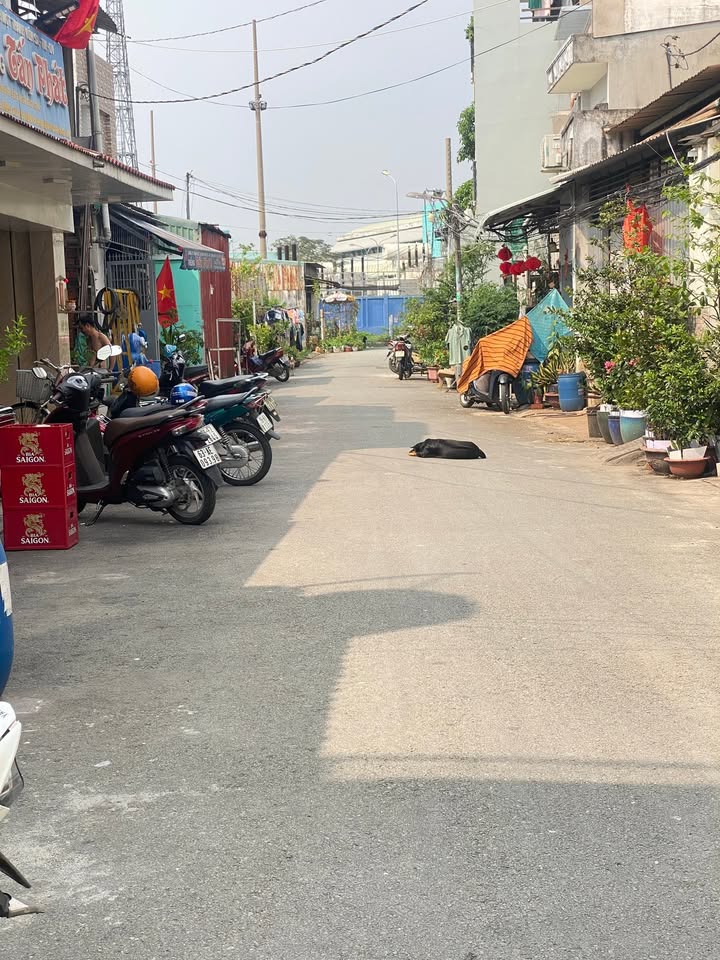 Nhà mới 75m² - Kinh doanh Tỉnh Lộ 10, Bình Tân - Giá 6.2 tỷ