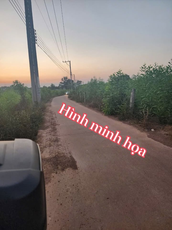 Farm Nghỉ Dưỡng 4800m² Đồng Nai - Sổ Hồng Riêng, Giá 6 Tỷ