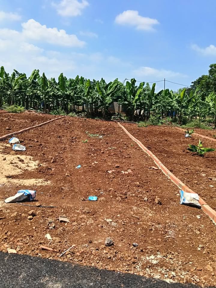 Đất nền Xã Bàu Hàm 2, Thống Nhất 115m² - Sổ đỏ chính chủ!