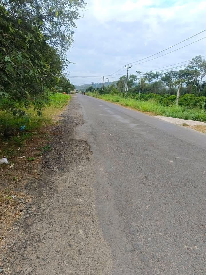 Đất Vườn Đăk Nông 348m² - Sổ Đỏ Sẵn Sàng, Kèm 2 Nhà Kiên Cố