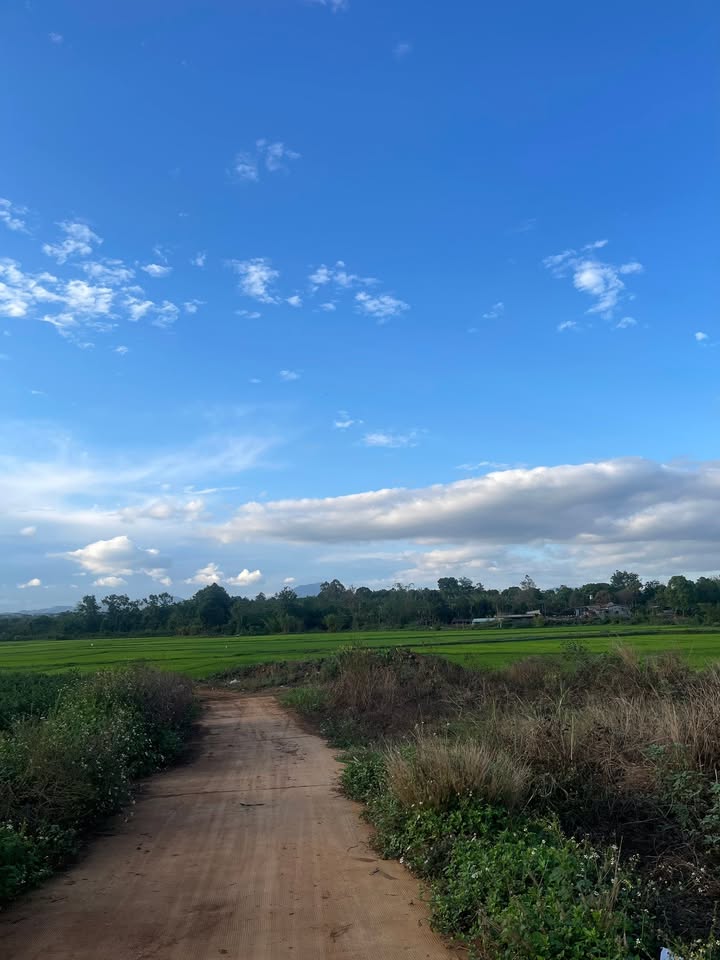 Bán Đất Phường Hoa Lư, Pleiku - 150m² Đất Ở, Giá Chỉ 5xx Triệu