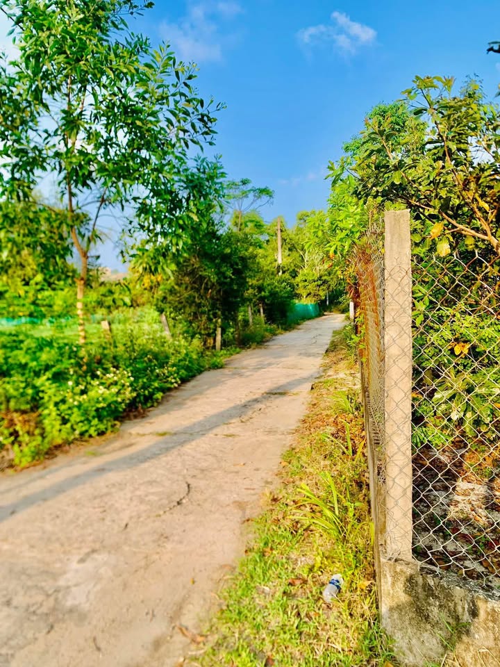 Đất nền Thăng Bình 345m² giá 500 triệu - Sổ đỏ chính chủ!