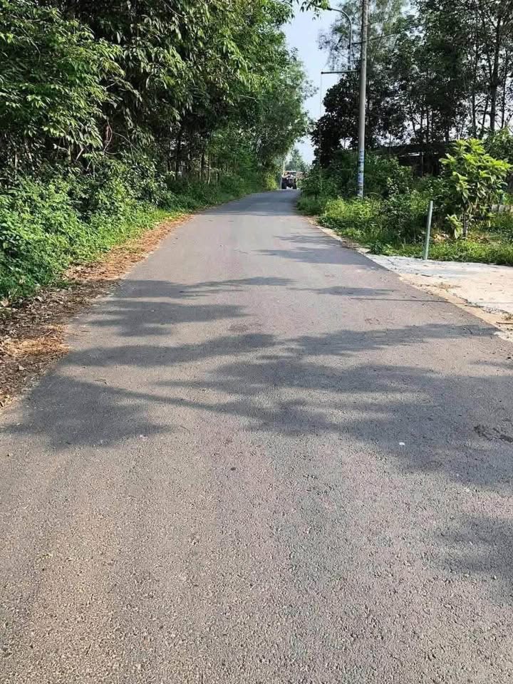 Đất Vàng Thanh Tuyền Dầu Tiếng - 260m² Sổ Hồng Riêng - Giá 1.05 Tỷ