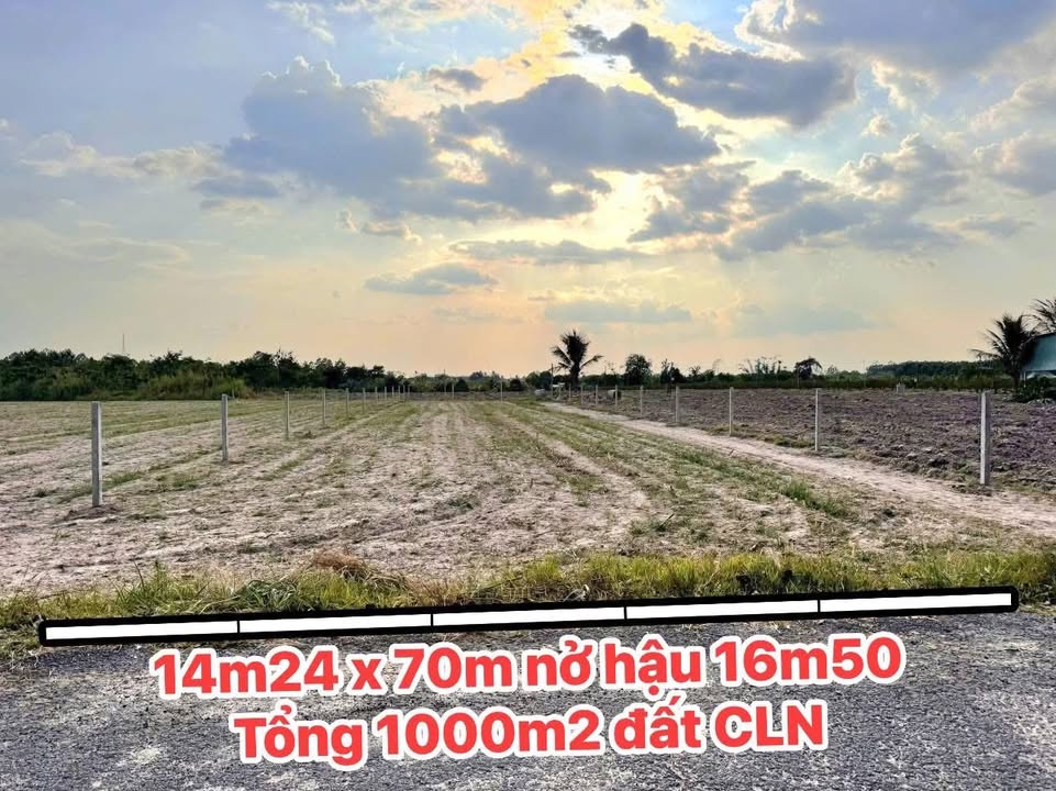 Đất nền Tây Ninh 980m² - View núi đẹp, thích hợp nghỉ dưỡng, đầu tư