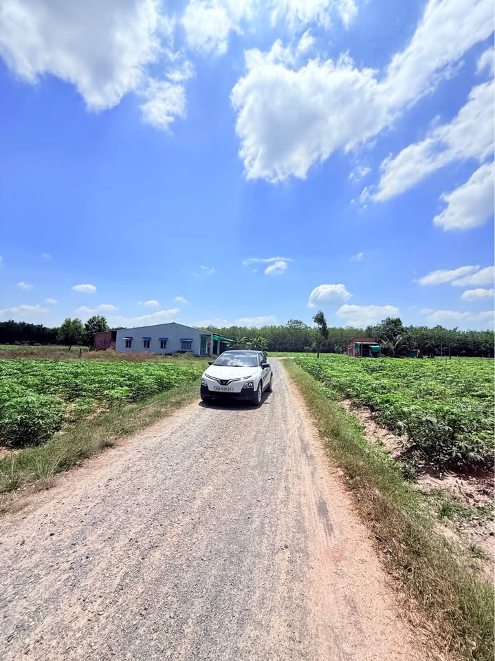 Đất nền Tân Hòa, Tây Ninh 2425m² - Sổ hồng chính chủ!