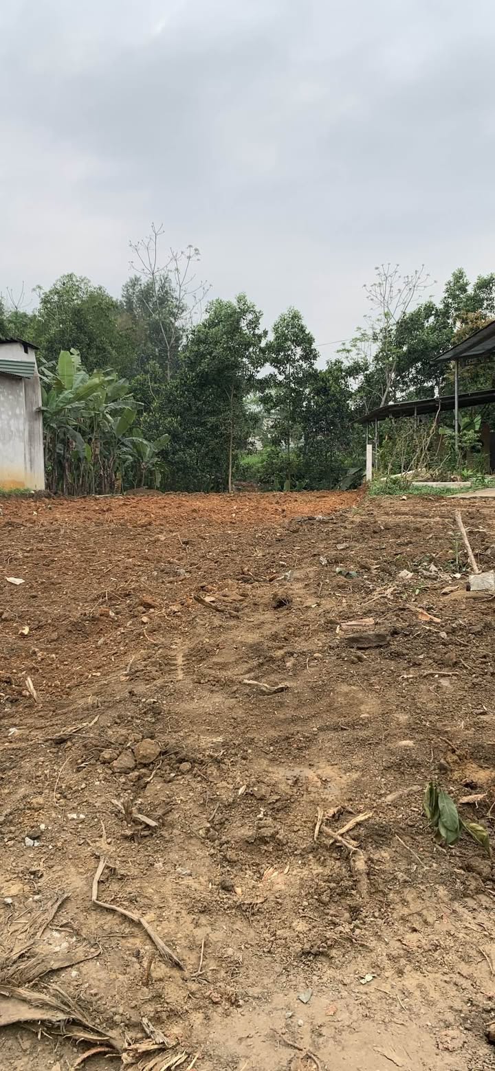 Đất nền Phường Ỷ La TP Tuyên Quang 99m² - Đường to ô tô vào tận nơi!