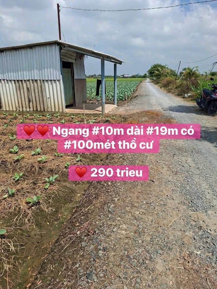 Đất nền Gò Công Tây 190m² giá 290 triệu - Tiềm năng tăng giá!