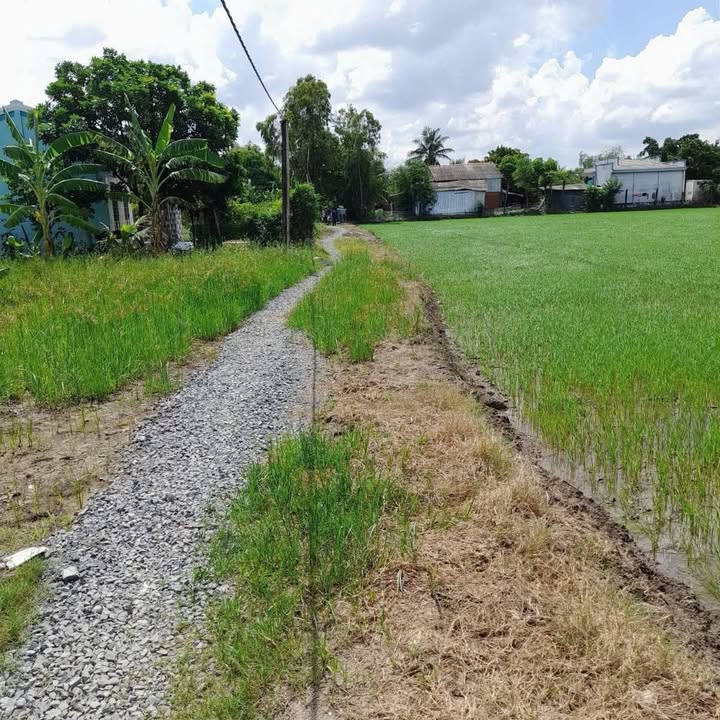 Đất nền Xã Bình Xuân, Gò Công 204m² - Tiềm năng tăng giá