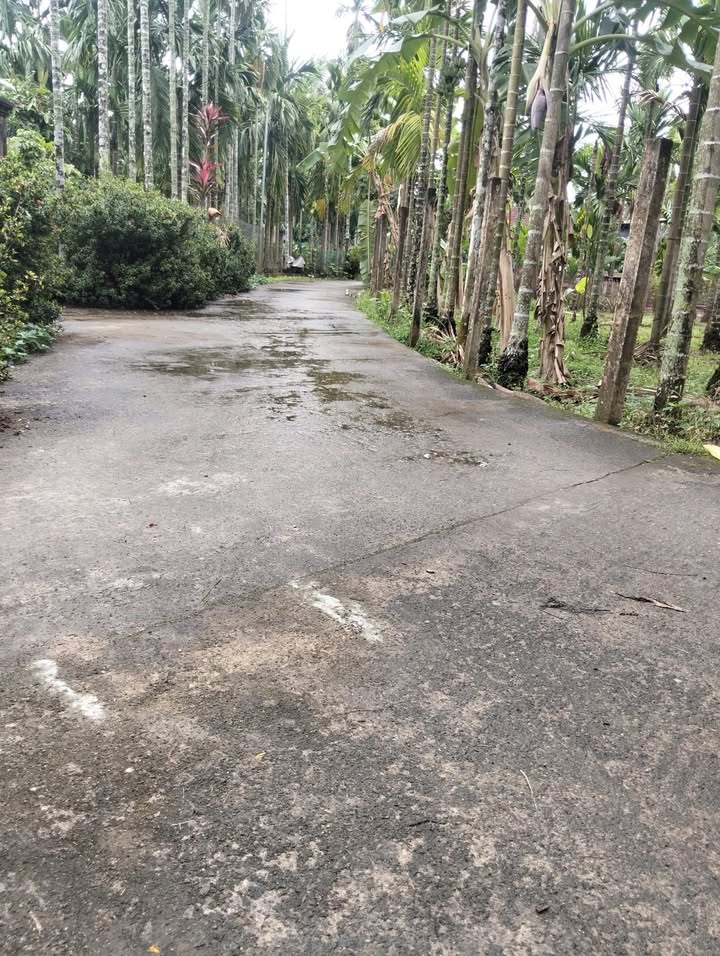 Đất nền Thị trấn Chợ Chùa 200m² giá 5 tỷ - Đất thổ cư 100%!