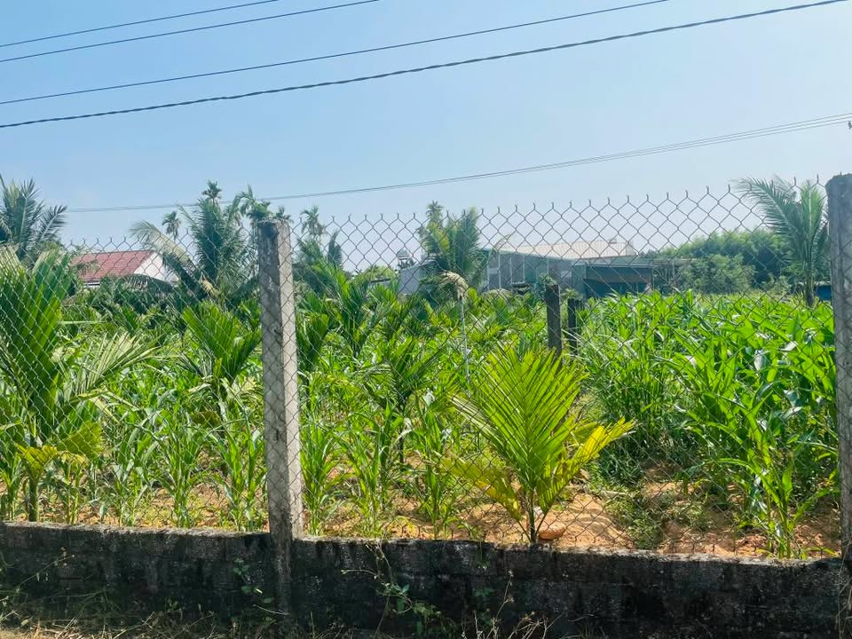 Đất nền Nghĩa Thuận 140m² giá 400 triệu - Đất thổ cư 100%