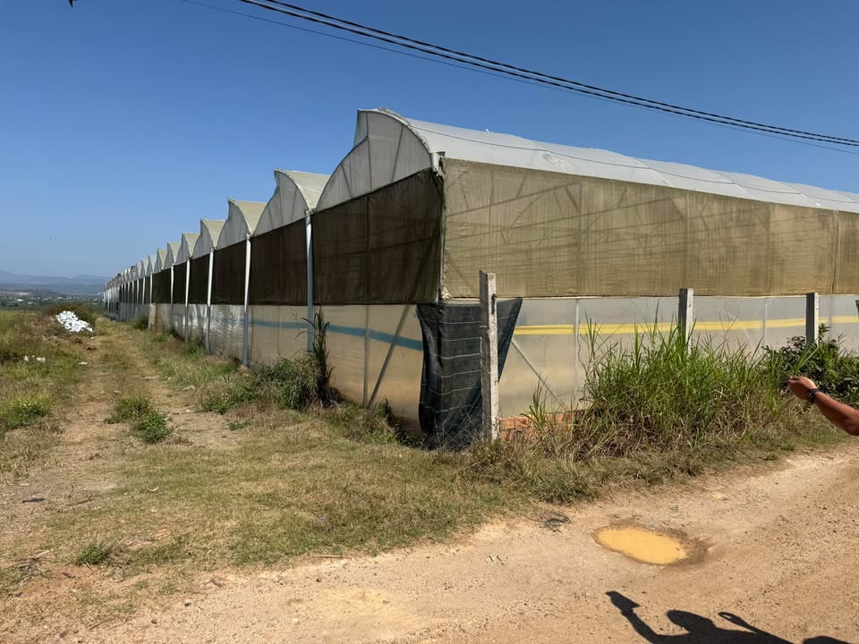 Bán Đất Vườn 1.6 Hécta Mặt Tiền 200m - Đức Trọng, Lâm Đồng - Giá Đầu Tư 12.8 Tỷ