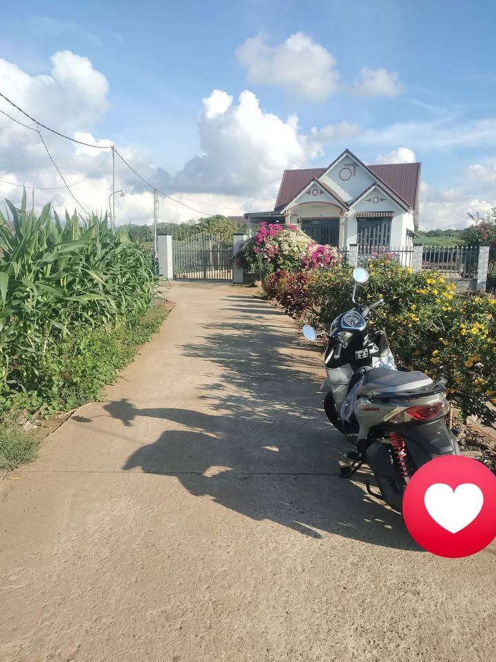 Đất nền Xã Tân Hội, Đức Trọng 1600m² giá 2 tỷ - Sổ đỏ chính chủ!