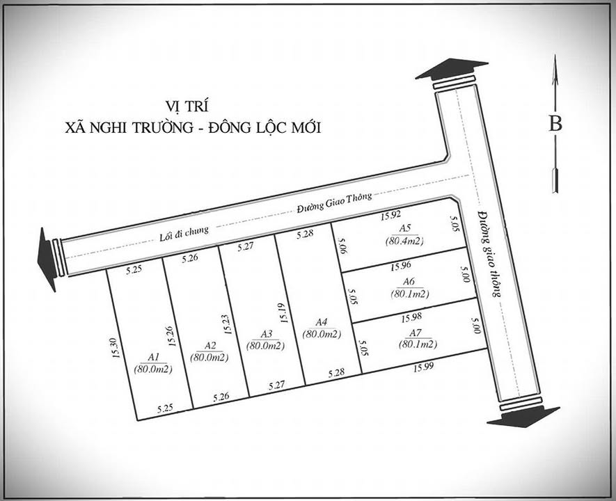 Đất nền Thịnh Trường, Nghi Lộc 80m² - Sổ đỏ chính chủ, giá tốt!