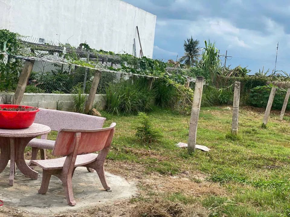 Đất thổ cư Phú Mỹ 118m² giá 950 triệu - Sổ đỏ