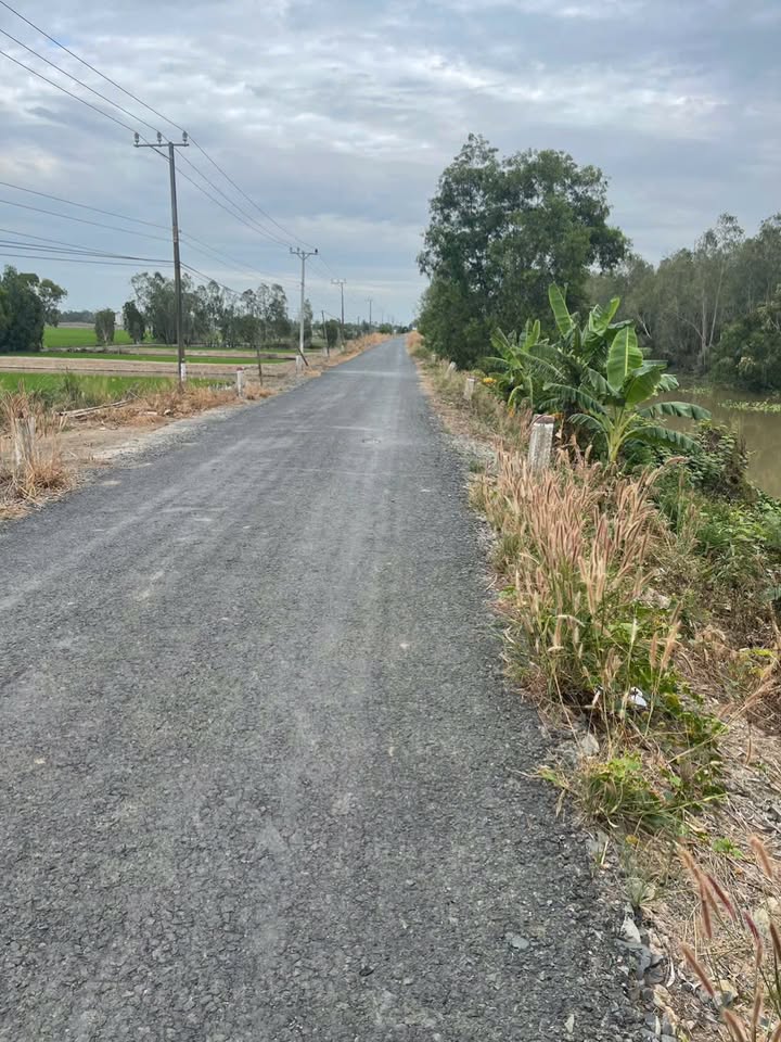 Đất ruộng 18.000m² mặt tiền đường đất 500m tại Tam Nông, Đồng Tháp - Giá đầu tư 5.75 tỷ