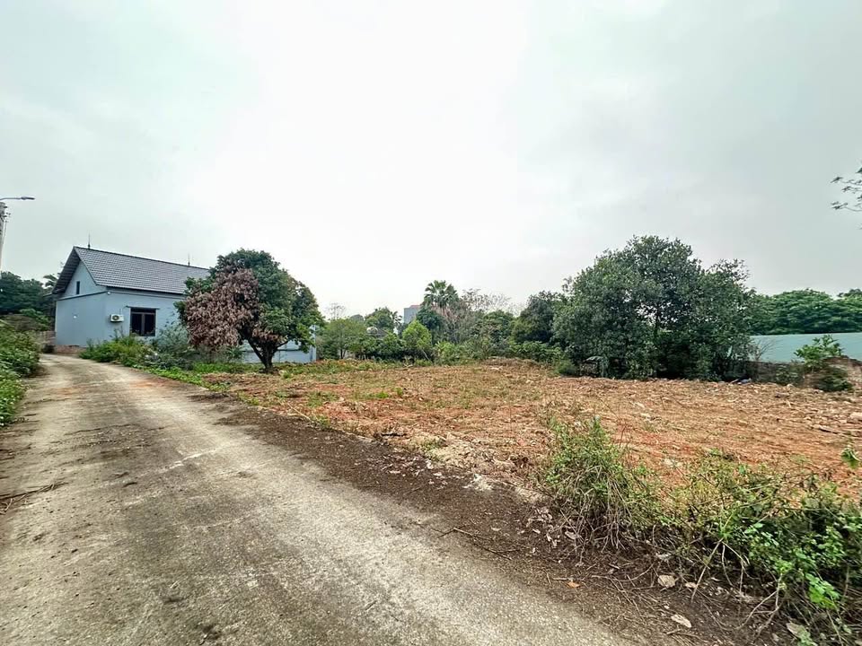 Đất nền Thanh Vân, Tam Dương 68.7m² - Tiềm năng tăng giá vượt trội!