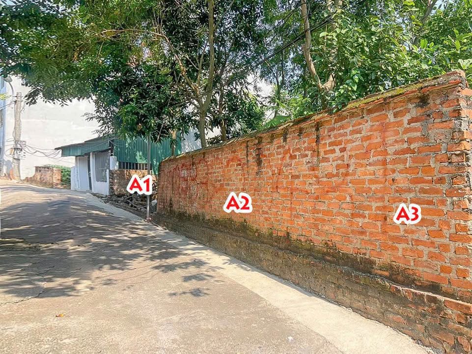 Đất Vĩnh Yên 184m² Thổ Cư - Gần Chợ, Trường, Bệnh Viện - Giá 1.6 Tỷ