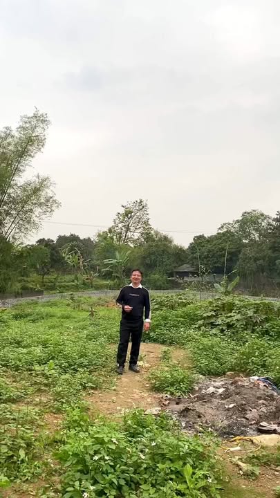 Đất Vườn 1700m² Hòa Bình - Gần Hà Nội, Tiềm Năng X2-3