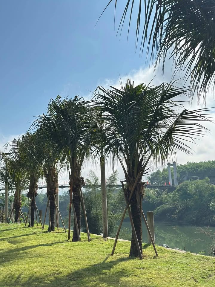 Đất nền Phong Điền 175m² giá 6xx triệu - Sổ hồng chính chủ