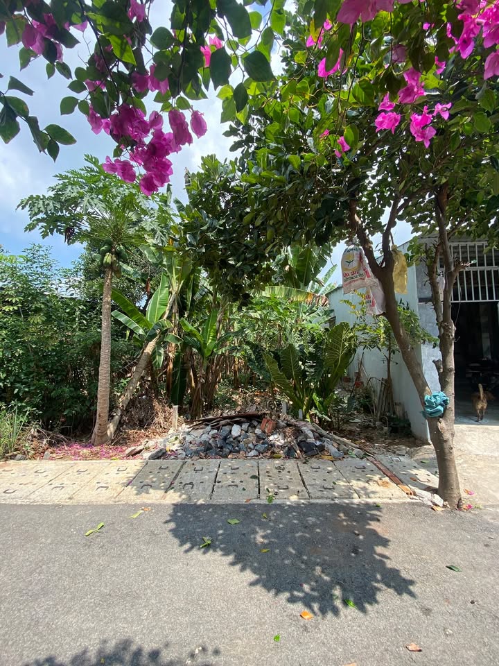 Đất Vàng Phường Bà Rịa 131m² - Giá 1.79 Tỷ - Tiềm Năng Bệnh Viện Ung Bướu