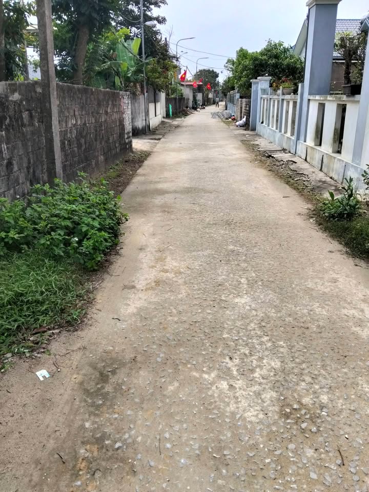 Đất nền Đồng Tâm, Nghi Sơn 112m² – Đường to ô tô, giá 1.3 tỷ