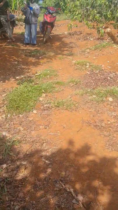 Farm Coffee 10.000m² Ia Tô, Ia Grai - Giá 1.1 Tỷ, Đường Ô tô