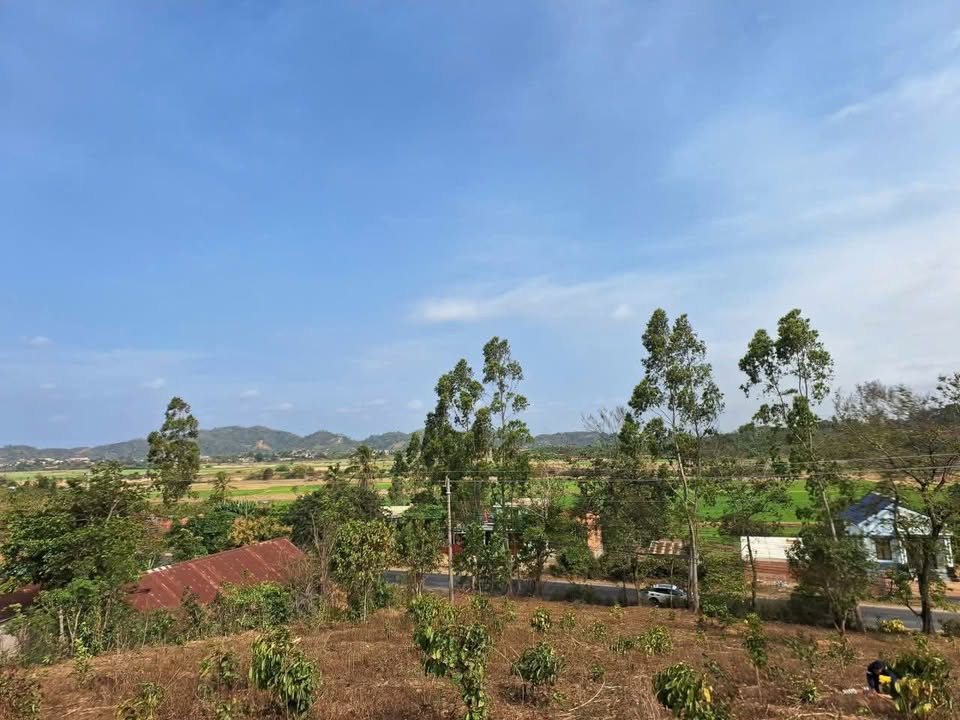 Đất QL27 Lắk 3.250m² 110tr/m - Sổ đỏ chính chủ