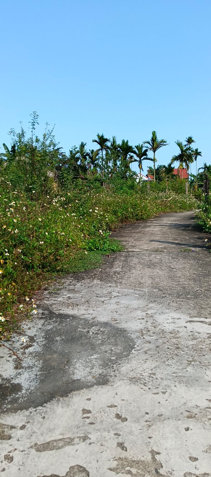 Đất nền Nghĩa Thương, Quốc Oai 200m² - Sổ đỏ chính chủ!