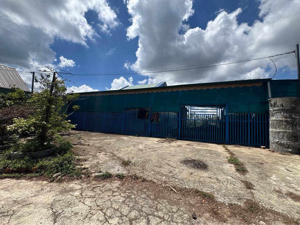 Bán Đất Tặng Nhà 700m² Mặt Tiền 20m Phường Xuân Trường, Đà Lạt - Giá 2.5 Tỷ