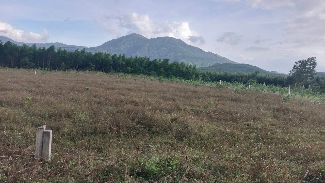 Đất vườn Vĩnh Thạnh Nha Trang 950m² 250tr - Sổ đỏ chính chủ