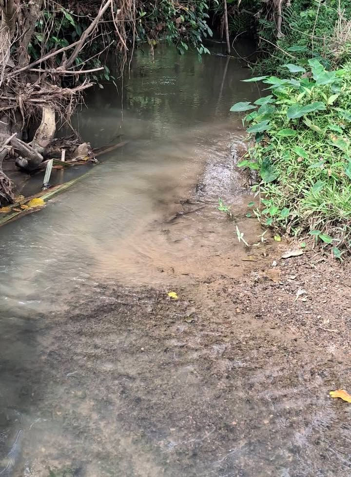 Đất Vườn 2000m² Sát Suối Mát Mẻ - Khánh Vĩnh, Khánh Hòa - Giá Cắt Lỗ 550 Triệu