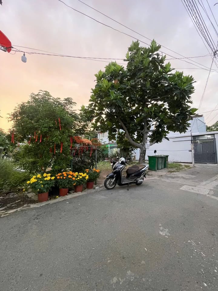 Đất nền Quận 7 260m² 17,9 tỷ - Pháp lý rõ ràng