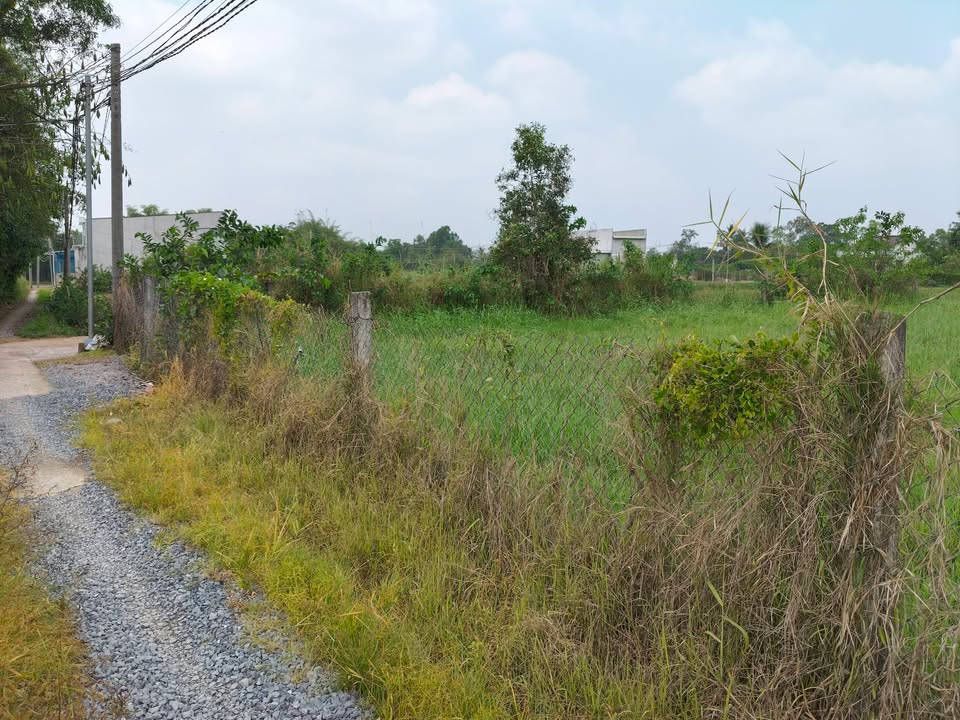 Đất nền Xã Rạch Kiến, Cần Đước 600m² - Đất thổ cư 100%!