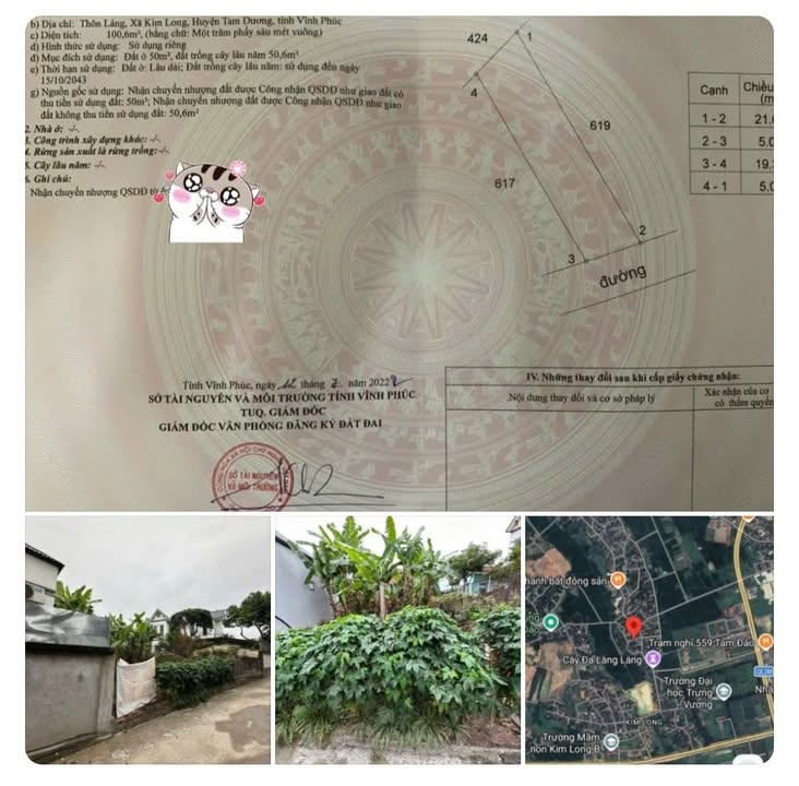 Đất nền Kim Long Tam Dương 100.6m² - Đường to ô tô tận nơi!