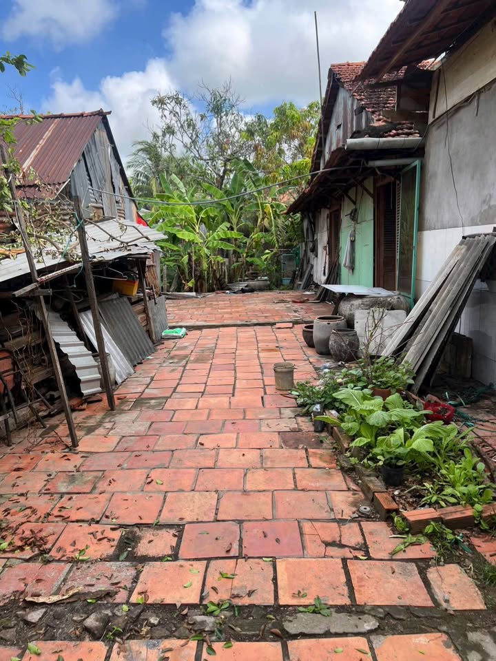 Đất Mặt Tiền Quốc Lộ 30, TP Cao Lãnh - 139m² Sổ Đỏ, Kinh Doanh Đa Ngành