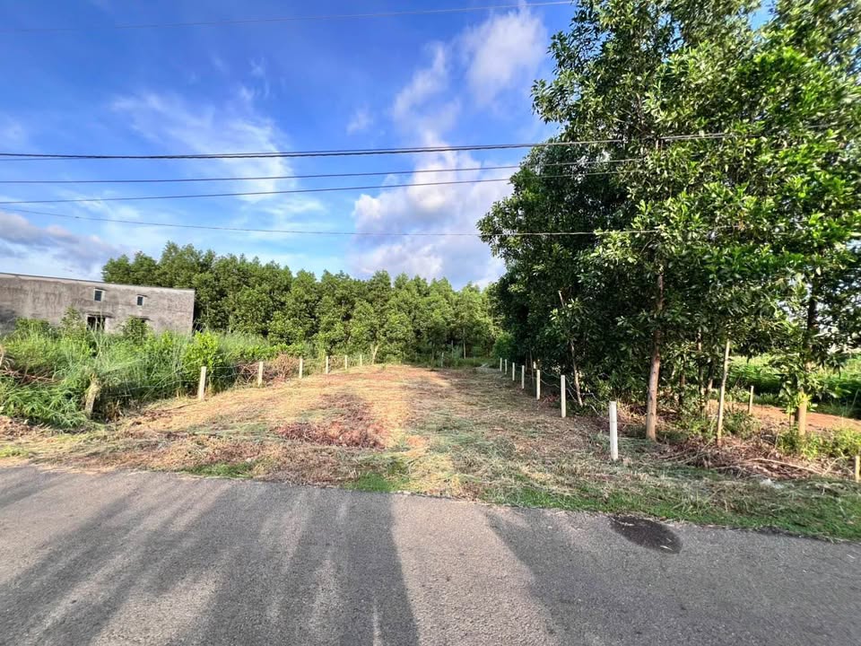 Đất nền Phường Hắc Dịch 10.560m² giá 2 tỷ - Sổ đỏ chính chủ