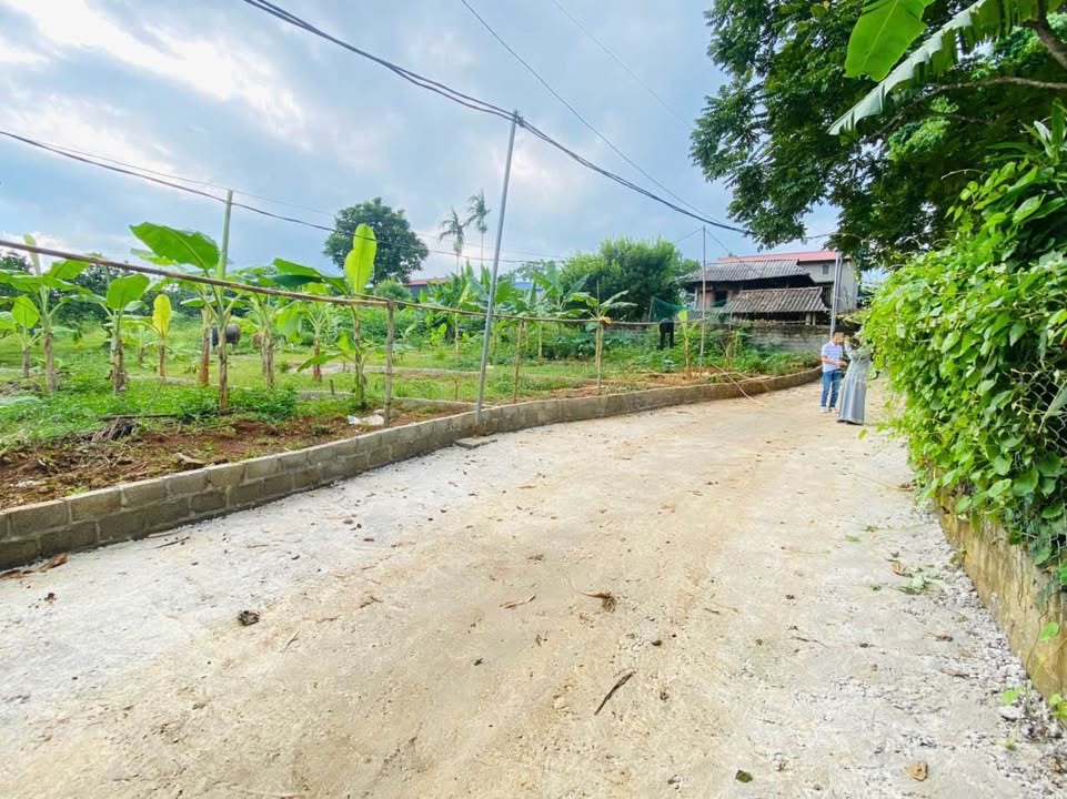 Bán Đất Nền Hợp Phong Cao Phong 121m² Sổ Đỏ Sẵn - Giá Chỉ 3xx Triệu