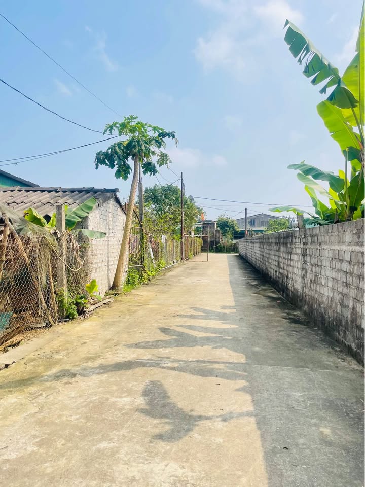 Đất nền TP Vinh 70m² chỉ 1.6 tỷ - Sổ đỏ chính chủ!