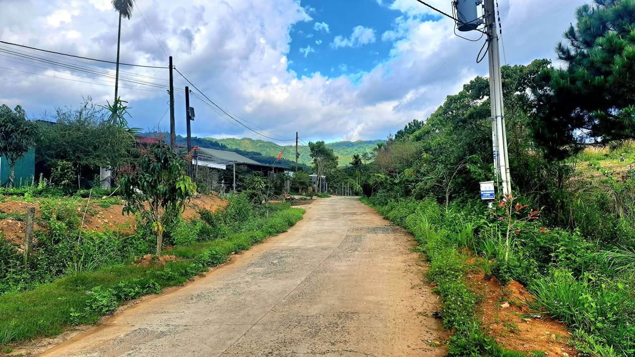 Bán Đất Bảo Lộc 899m² - Sổ Đỏ Thổ Cư, Giá 1.3 Tỷ - Cơ Hội Đầu Tư