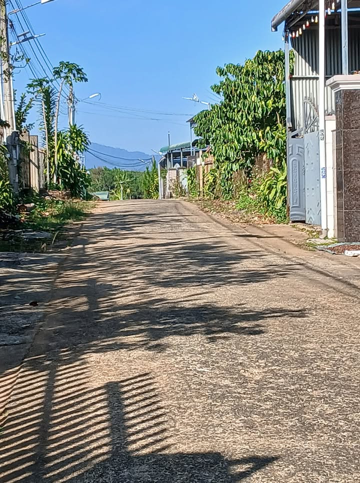 Đất nền Hẻm Lê Phụng Hiểu Bảo Lộc 750m² - Pháp lý rõ ràng!