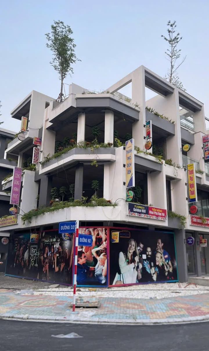 Biệt thự góc Flamingo Ba Sao 190m² giá 12 tỷ - Sổ đỏ sẵn sàng giao dịch!