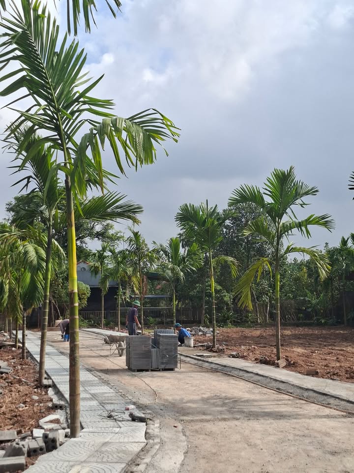 Đất nền KĐT Vườn Cau Duy Tiên - 83m² - Sổ đỏ chính chủ - Giá F0