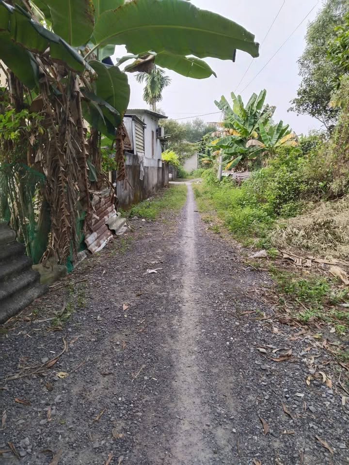 Đất Vườn Lộc An, Long Thành - 660m² Sổ Hồng Riêng, Giá 4.5 Tỷ Thương Lượng