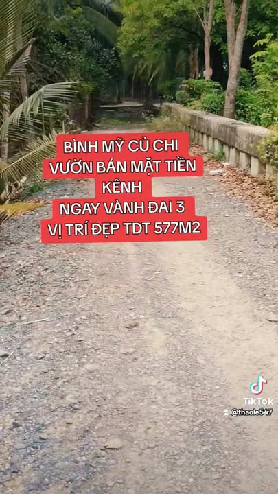 Đất vườn Hóc Môn 577m² - Tiềm năng tăng giá, pháp lý rõ ràng!