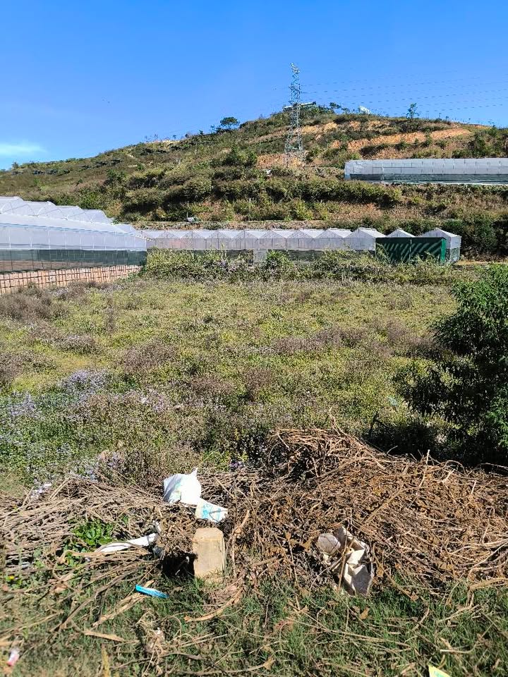 Đất Nền Đà Lạt 543m² - Xây Villa, Homestay View Suối