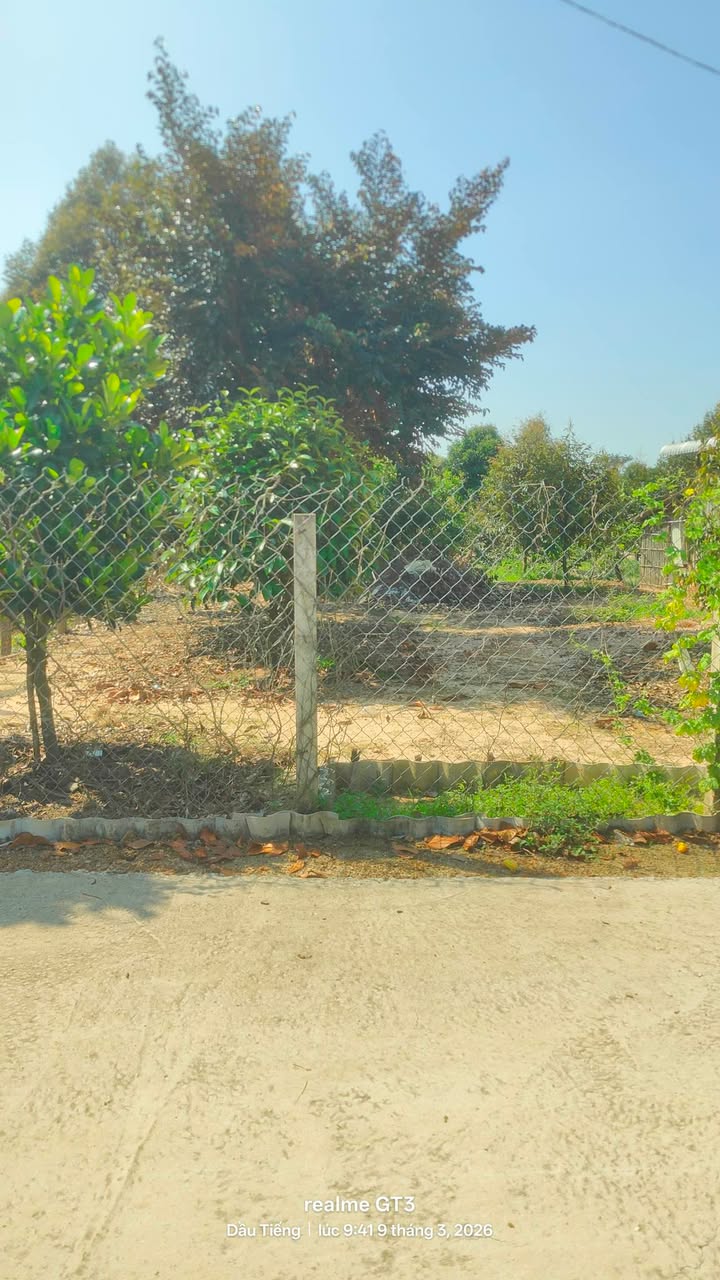 Đất Nền Thanh Tuyền Dầu Tiếng 175m² - Giá Đầu Tư 1.6 Triệu/m²