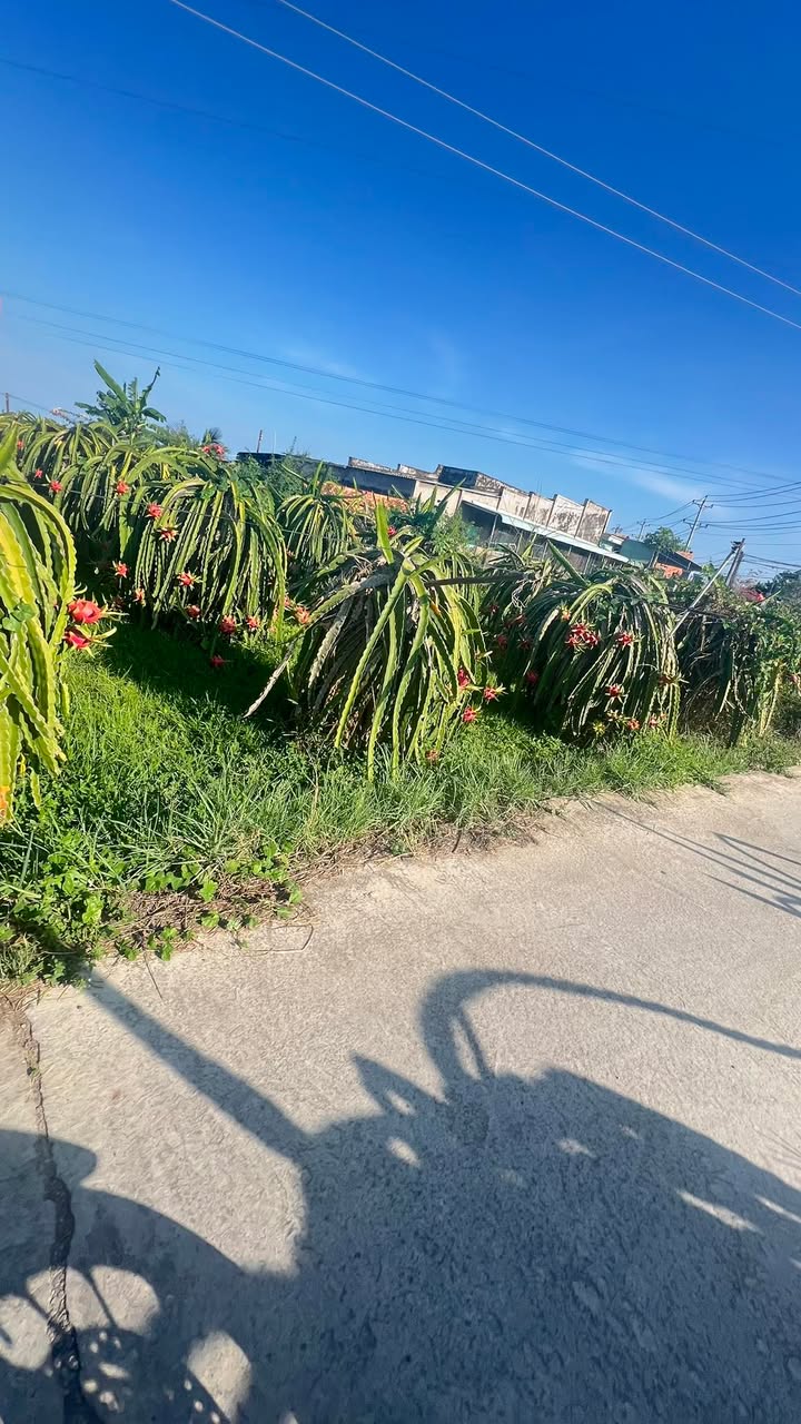 Đất Nền 630m² Xuân Điền, Hàm Tân - Sổ Sẵn 790 Triệu