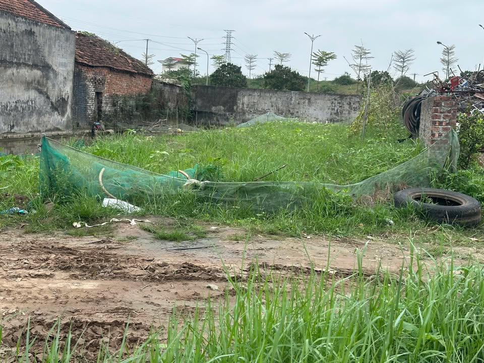 Đất nền Huyện Kim Động 200m² - Sổ đỏ chính chủ, vị trí vàng!